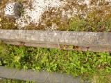 image of grave number 808653